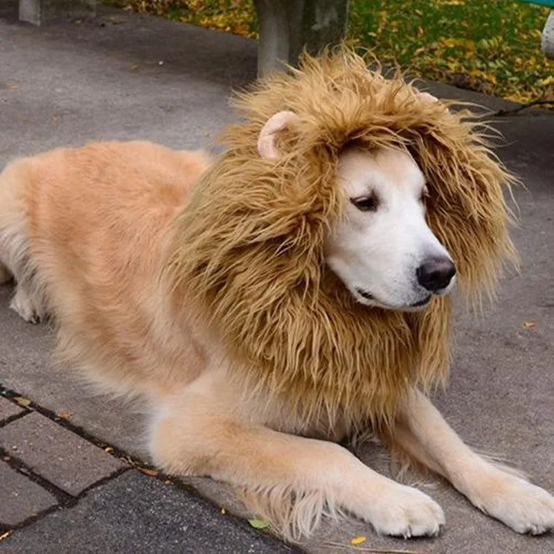 Pet lion mane wig costume with optional ears, size M for neck 20cm to 74cm, 120g, four colours