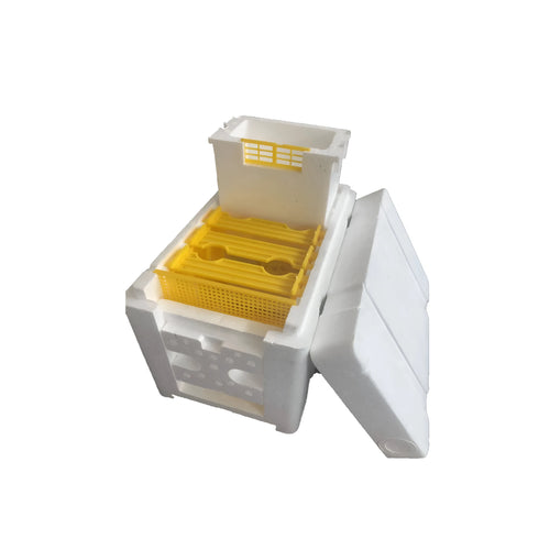 Three white EPS foam mini delivery boxes for beehive bee breeding tool set.
