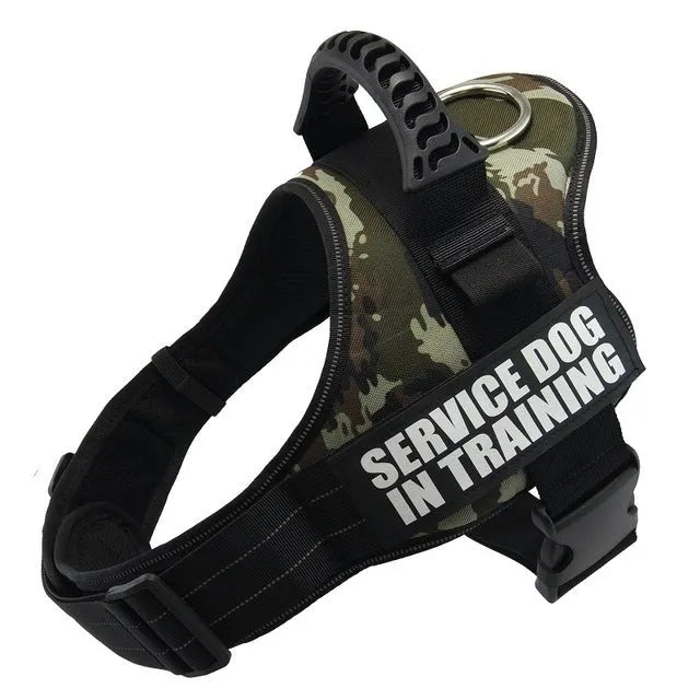 Reflective adjustable no-pull dog harness with handle on black labrador