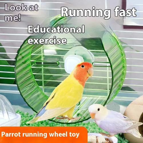 Plastic bird wheel treadmill running toy for parrots in transparent colour
