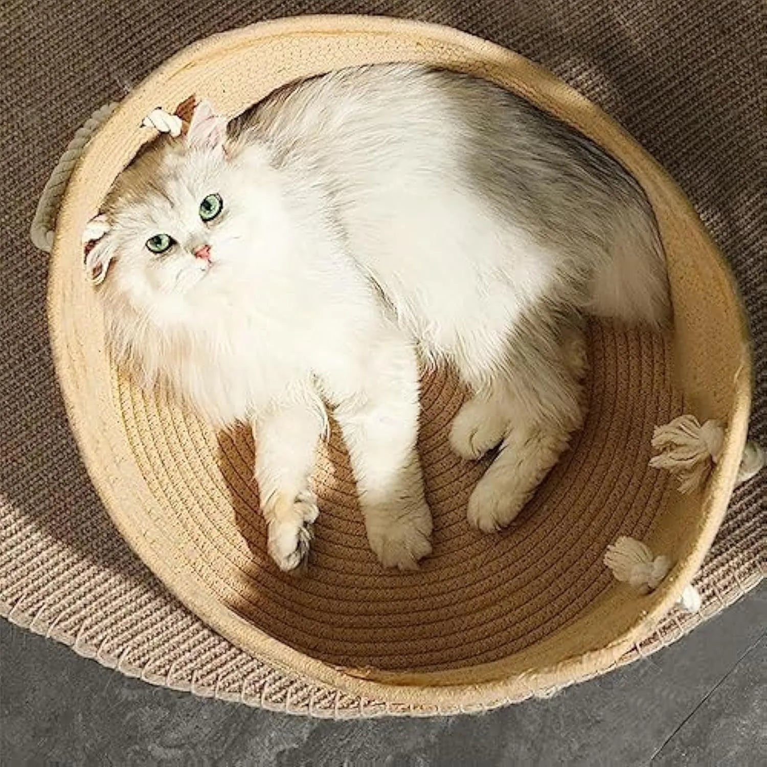 Wicker cat basket bed with integrated corrugated cardboard scratching panel, shown in large and small sizes.