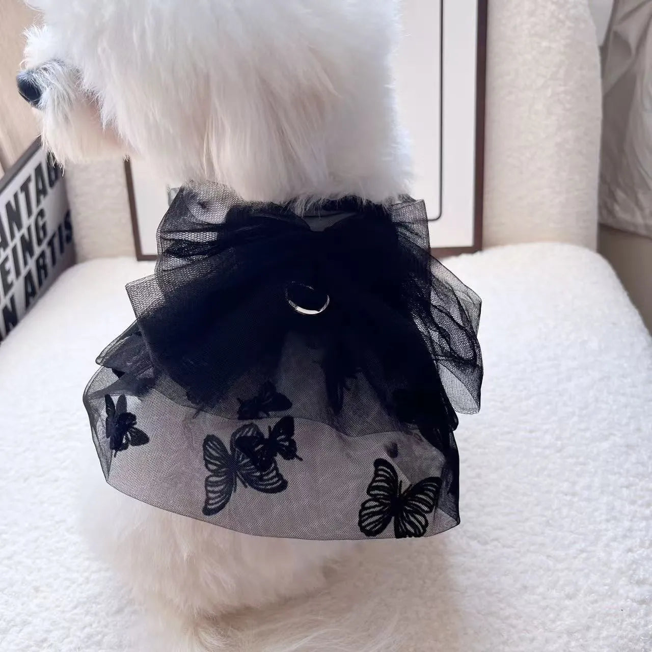 Black gauze tulle princess skirt on a small dog, showing layered design and fit.