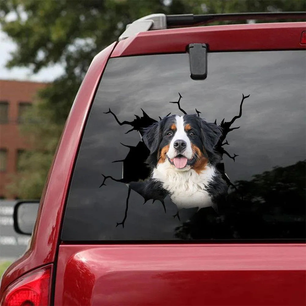 Reflective car body sticker torn style adhesive decal in colour QCTMK2880