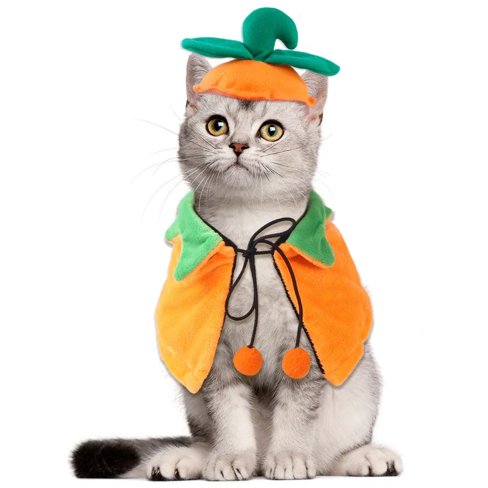 Reversible plush Halloween pumpkin cloak for dog or cat shown in three sizes