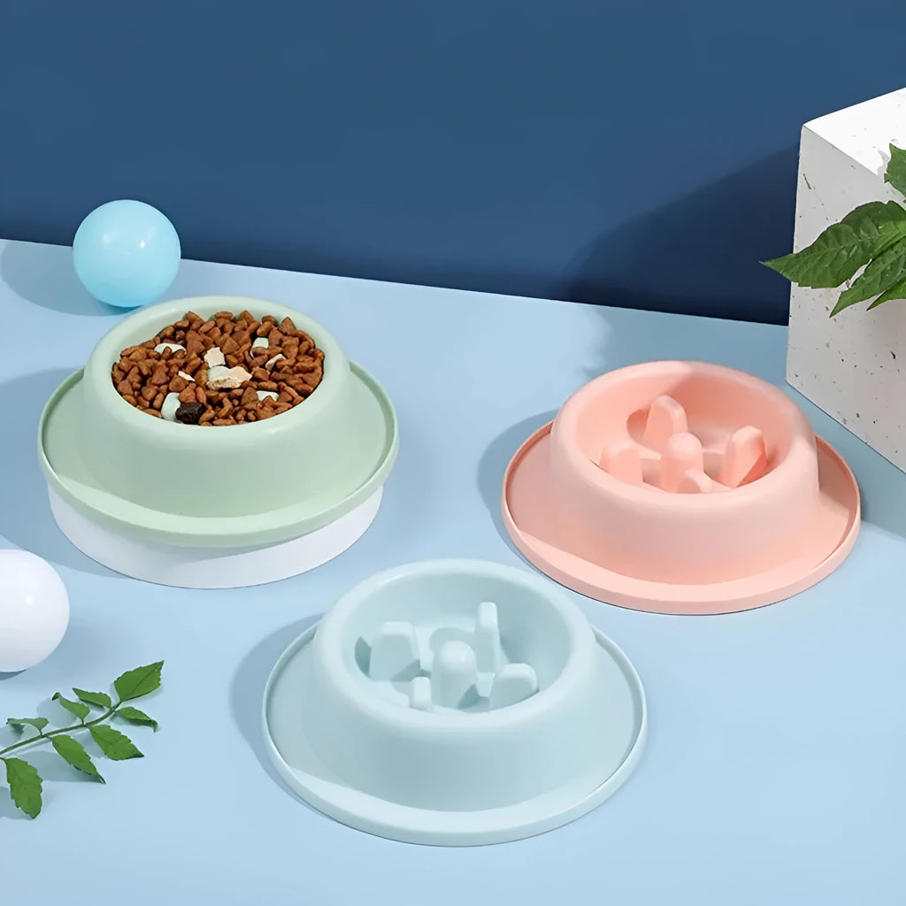 Pet slow eating feeder bowl in blue PP plastic with raised internal sections and non-slip base