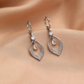 A pair of women's zircon water drop tassel earrings with gold-coloured buckles on a white background.