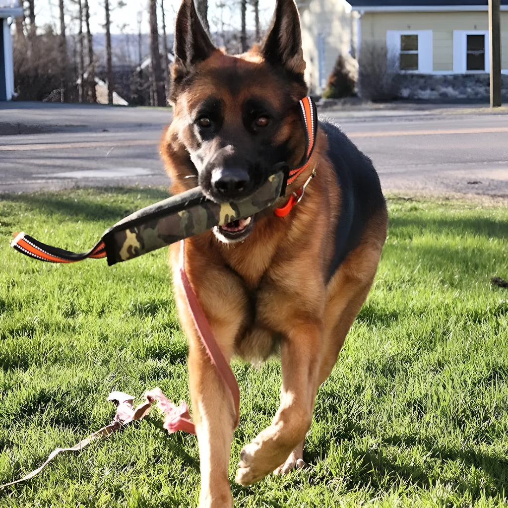 Yellow-edged jute rope dog training bite stick showing reflective material and approximately 55cm length