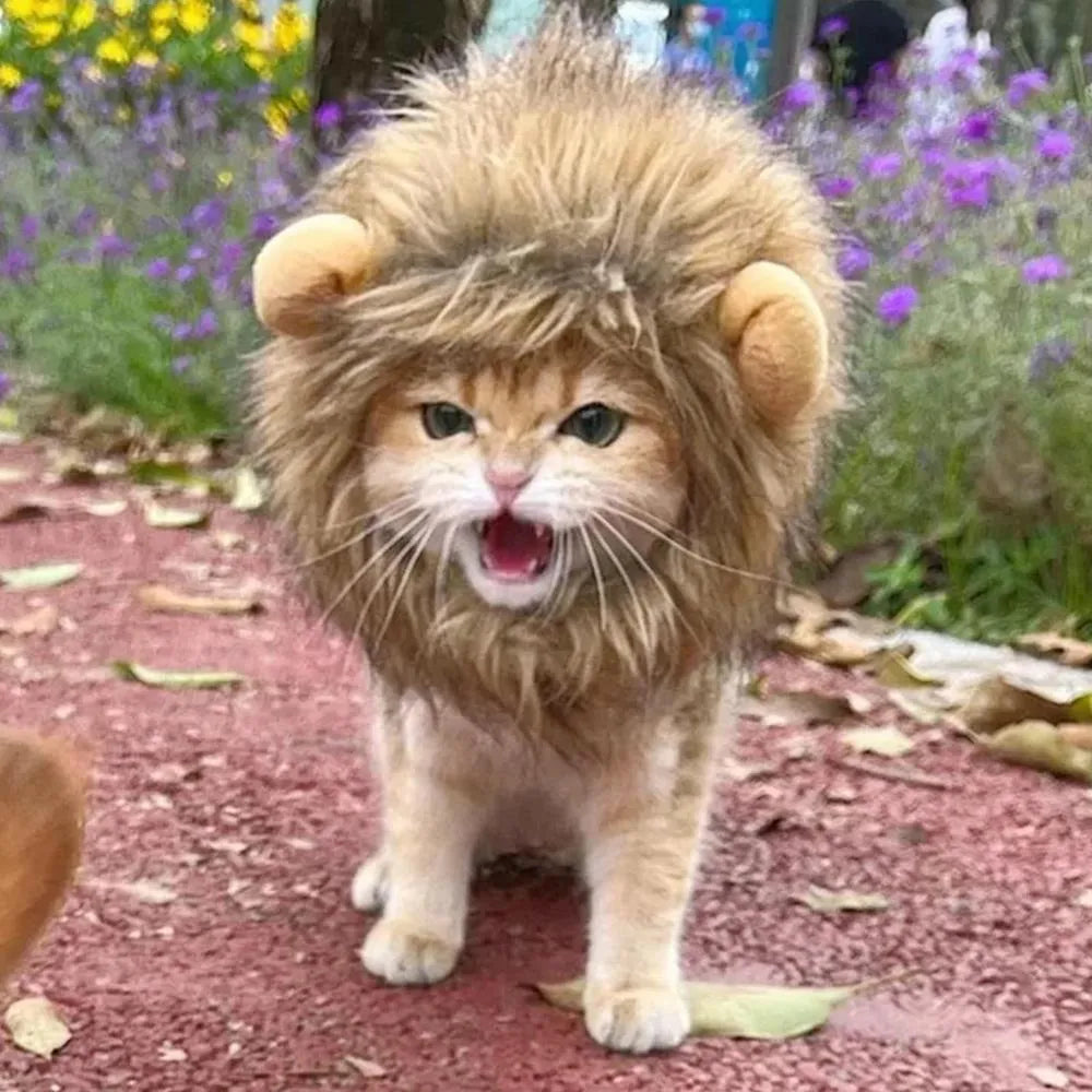 Lion mane wig for cats and small dogs with fluffy artificial hair and adjustable elastic band