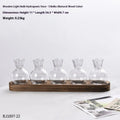Wooden frame transparent hydroponic vase set with PET plastic vases in modern design