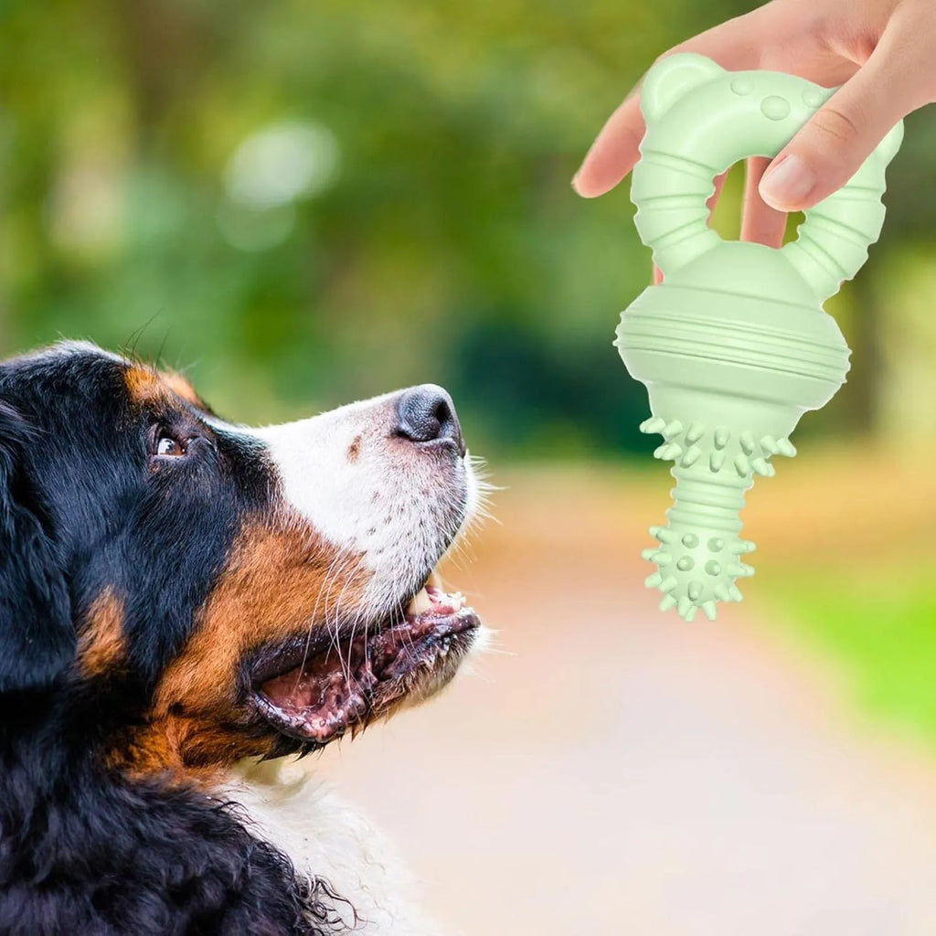 Blue rubber dog chew toy with textured surface for teeth cleaning, measuring 13.5cm