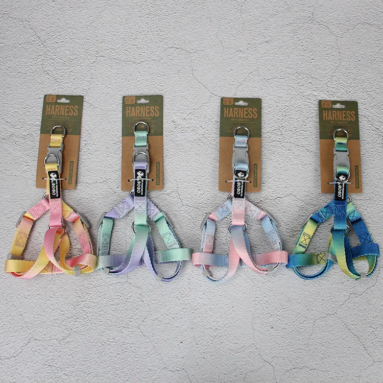 Gradient colour nylon dog leash and matching adjustable collar set for small medium dogs.