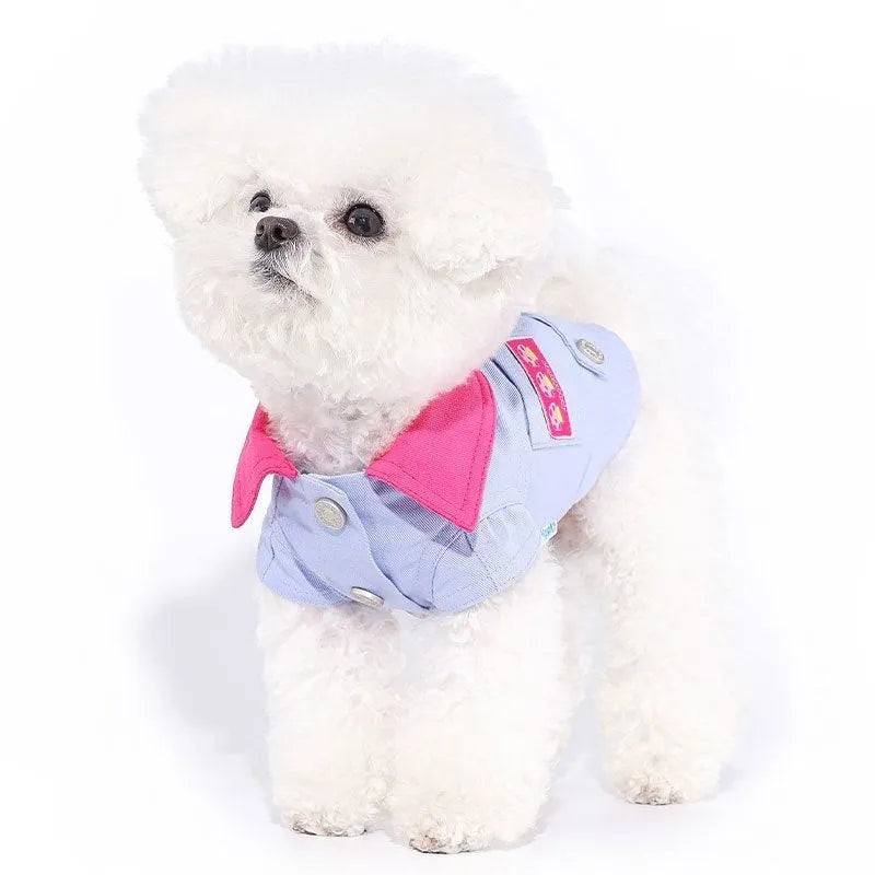 Blue and purple polyester mesh dog vest with rope rings for small breed dogs