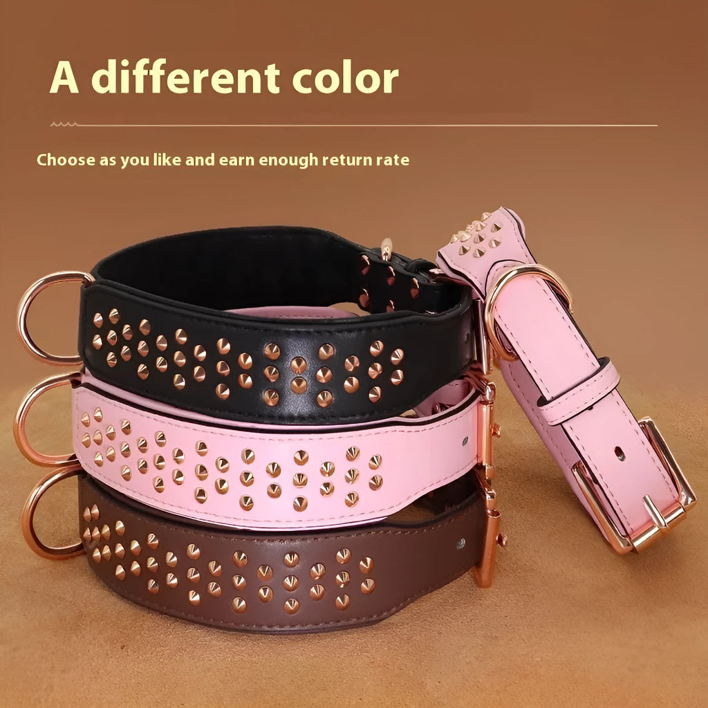 Leather dog collar with metal rivets and buckle in chocolate colour on a white background.