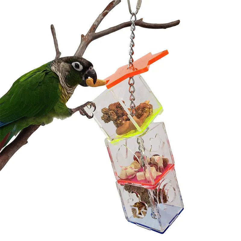 Clear acrylic parrot foraging toy with treats visible inside, 32 cm long bird enrichment device