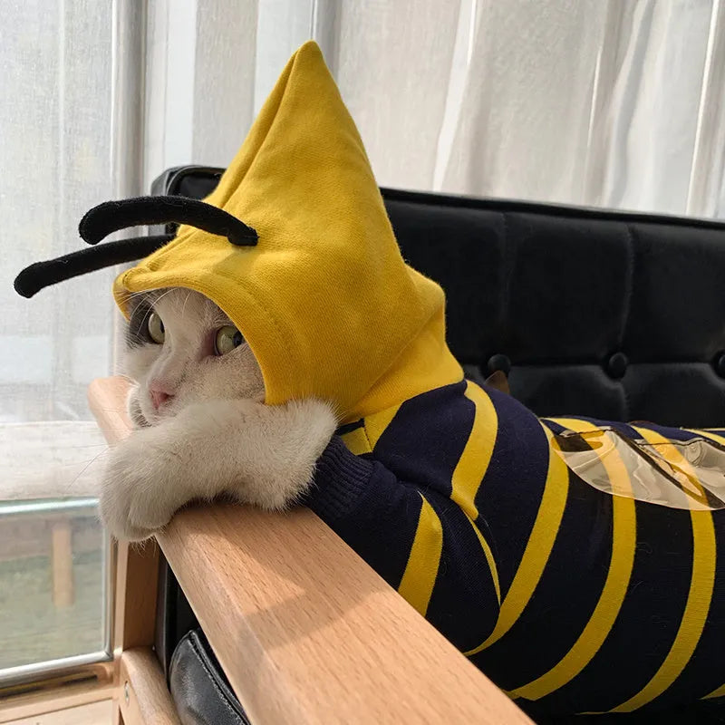 Yellow striped bee costume plush hoodie for bulldog pet cotton winter jacket in yellow and black design