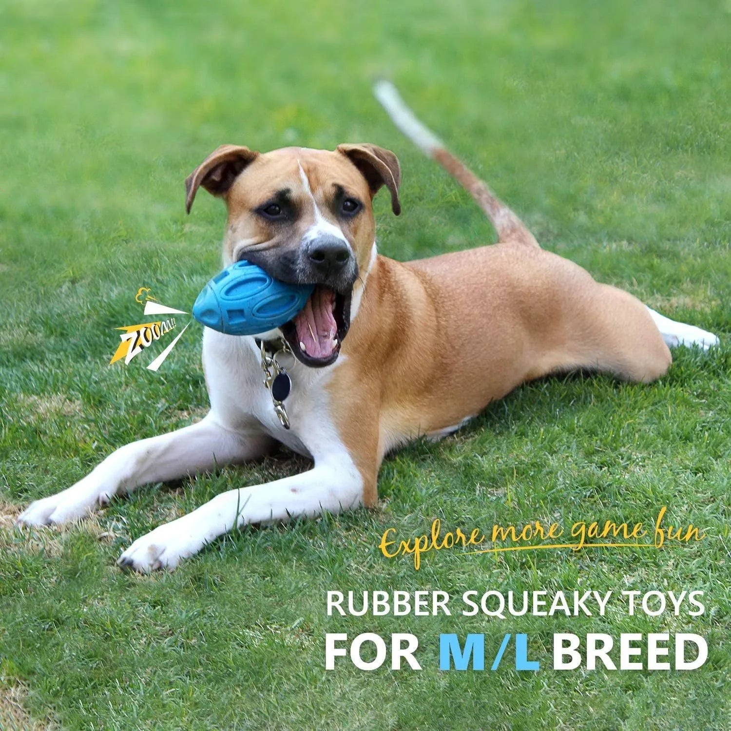 Blue natural rubber squeaky dog toy ball with surface grooves for medium and large breed aggressive chewers