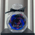 Dried flower gift box with transparent cover, natural eternal rose ornament, 10x6x14cm, available in multiple colours for home decor
