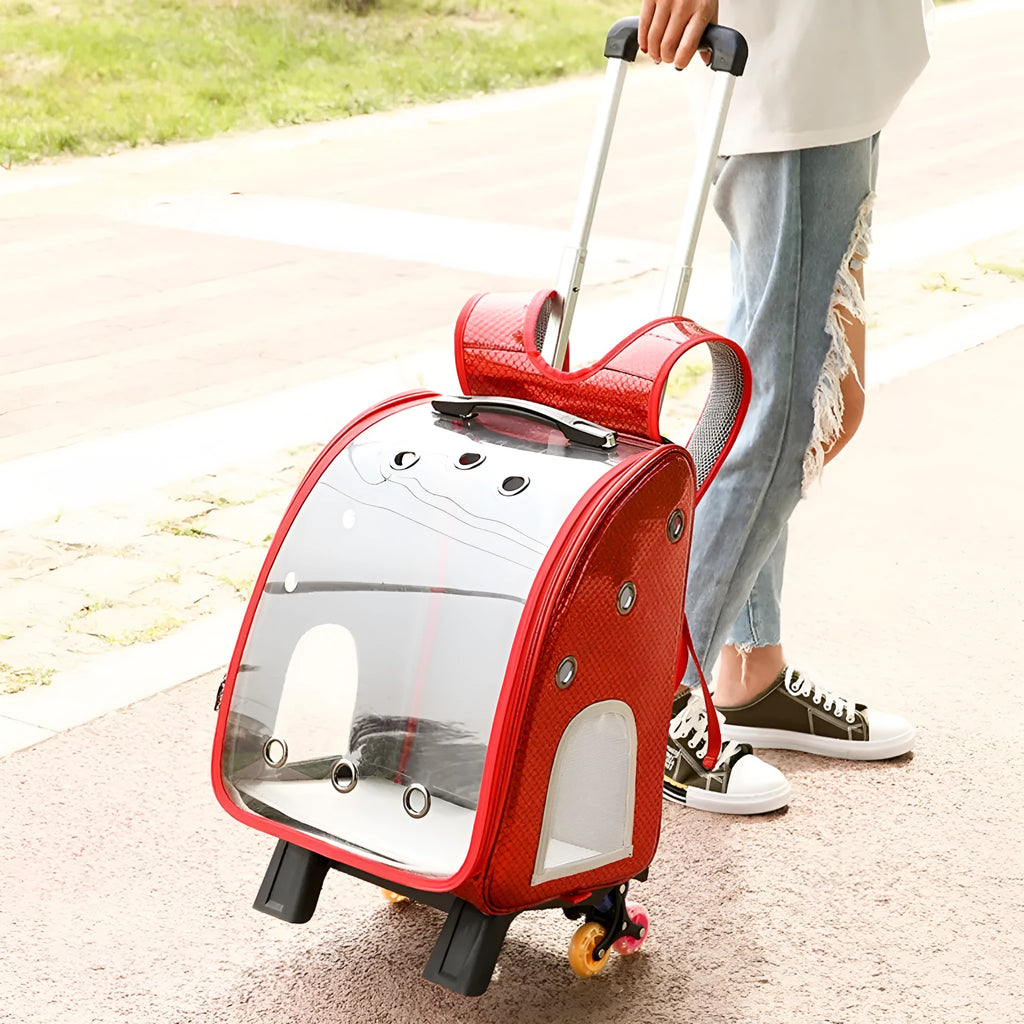 Transparent pet trolley with folding shoulder design in blue colour for small dog and cat transport