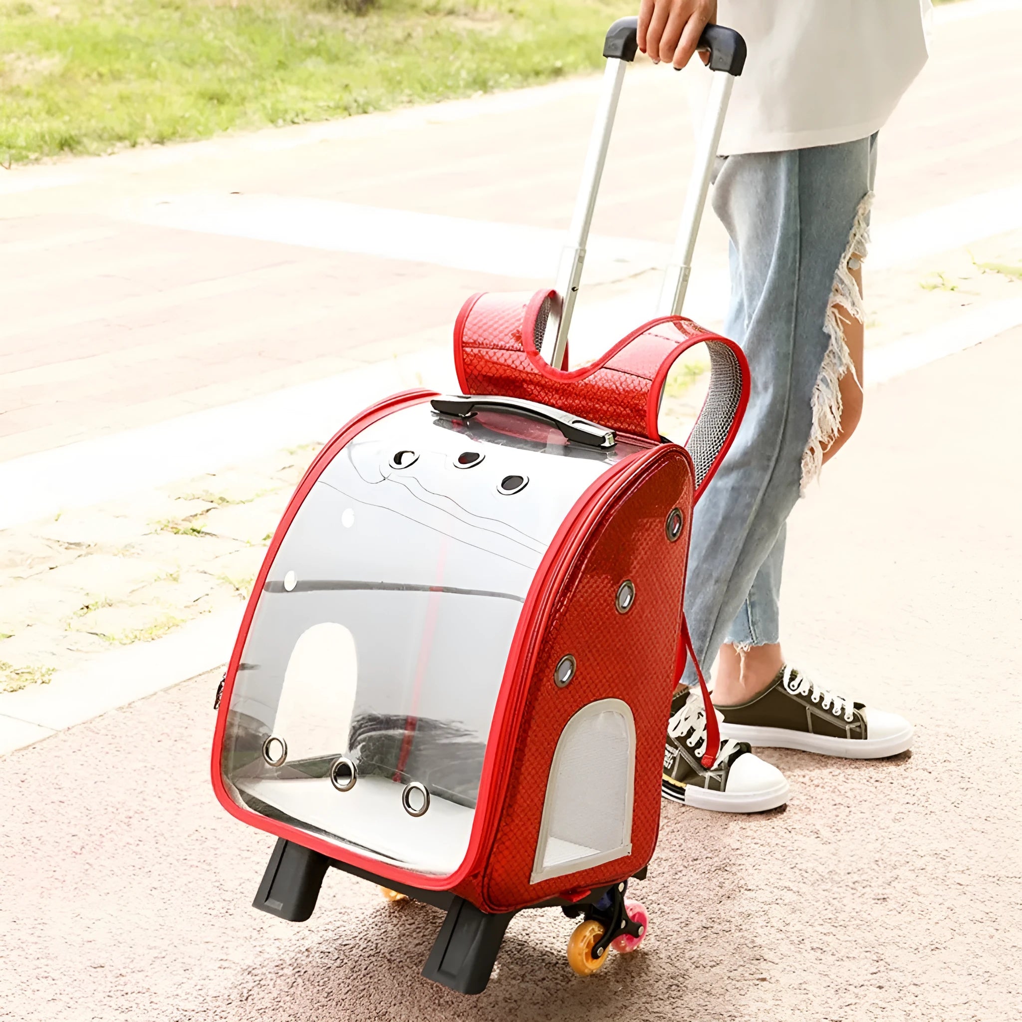 Transparent pet trolley with folding shoulder design in blue colour for small dog and cat transport