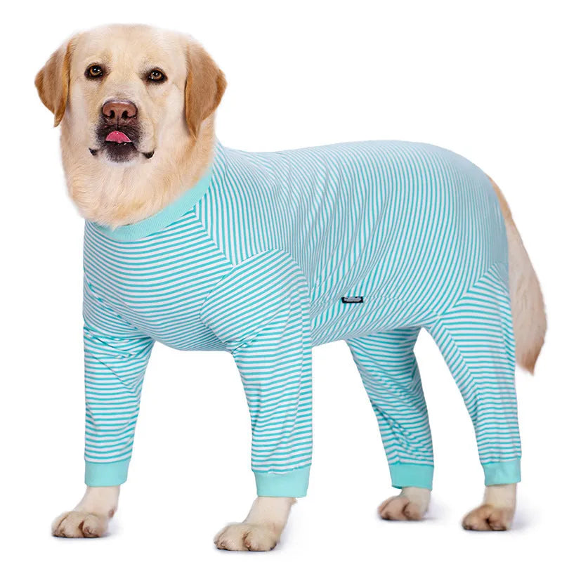 Striped four-legged dog shirt on golden retriever in sky blue colour