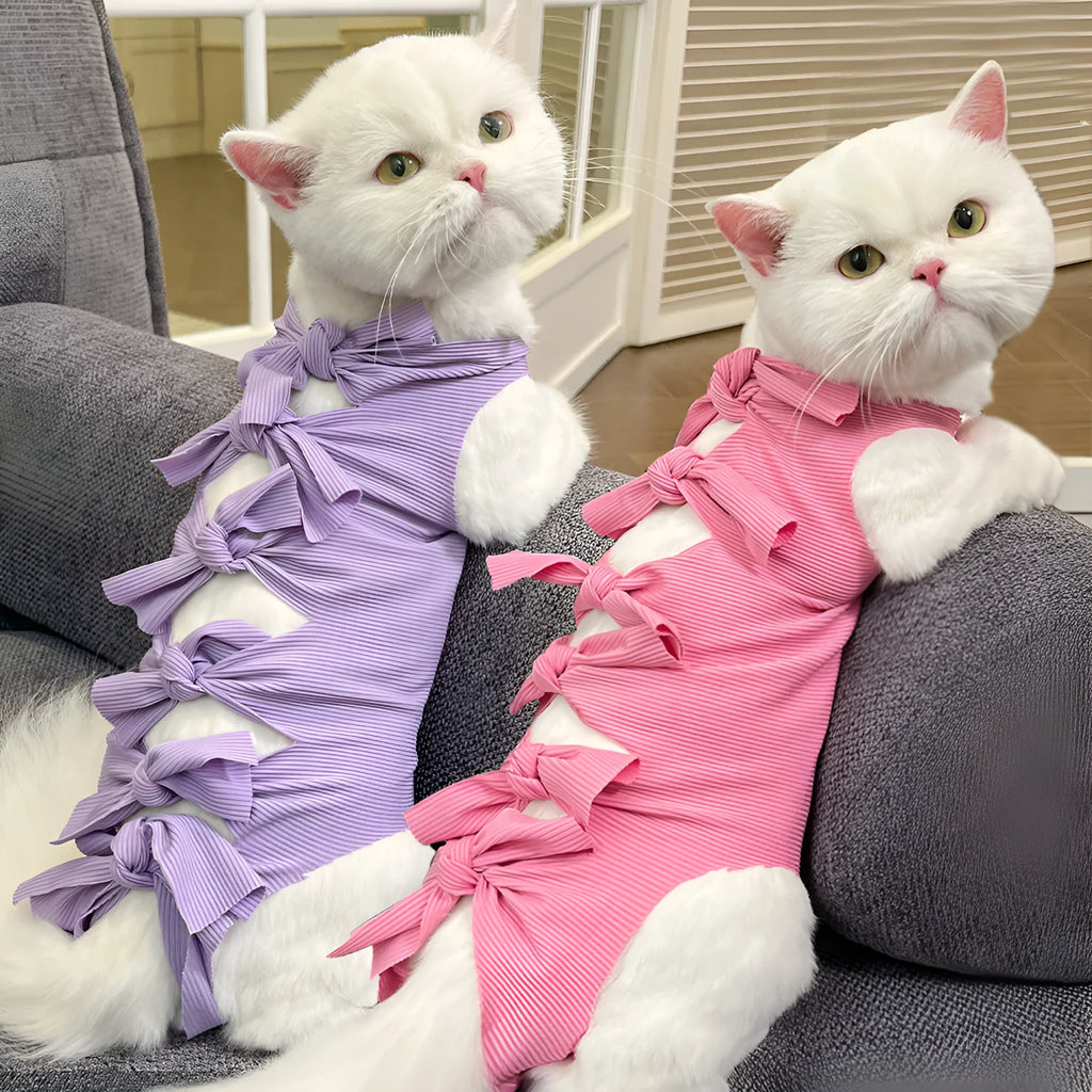 Lace-up cat sterilisation recovery suit in blue, shown on a cat, with back ties and tail hole visible.