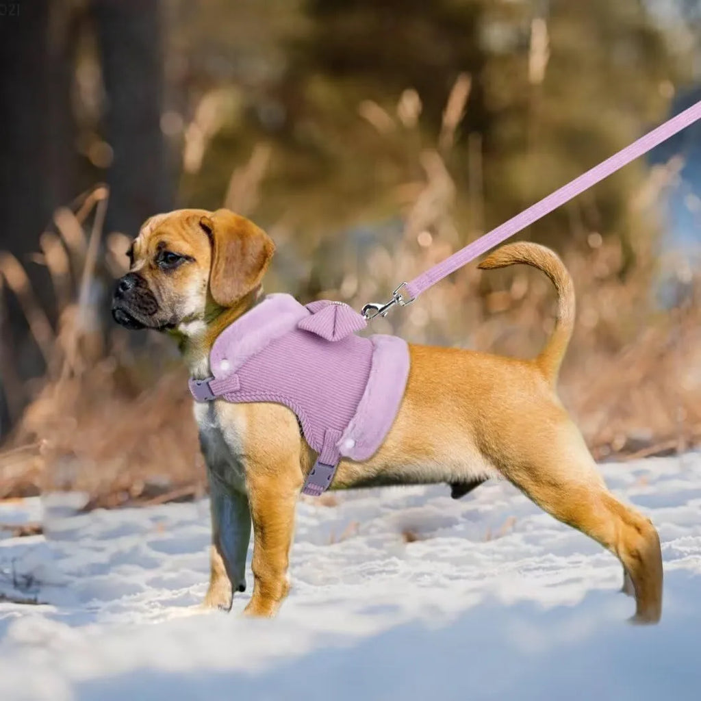 Small dog harness and leash set with bow tie, removable fur collar, padded adjustable harness and 150cm lead