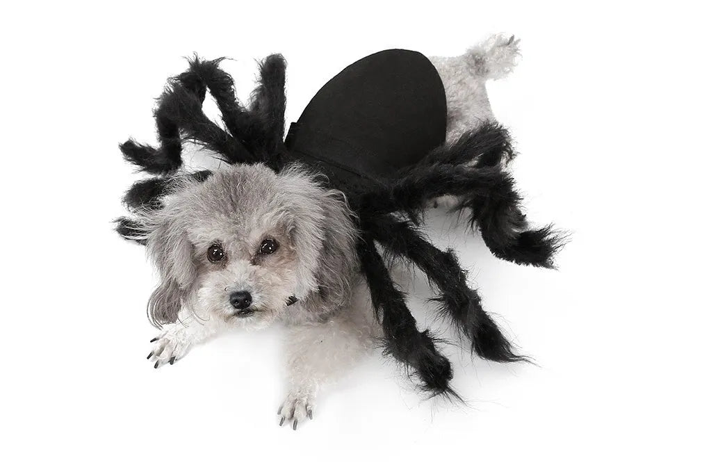 Black plush pet spider costume for dogs and cats, available in sizes S and M