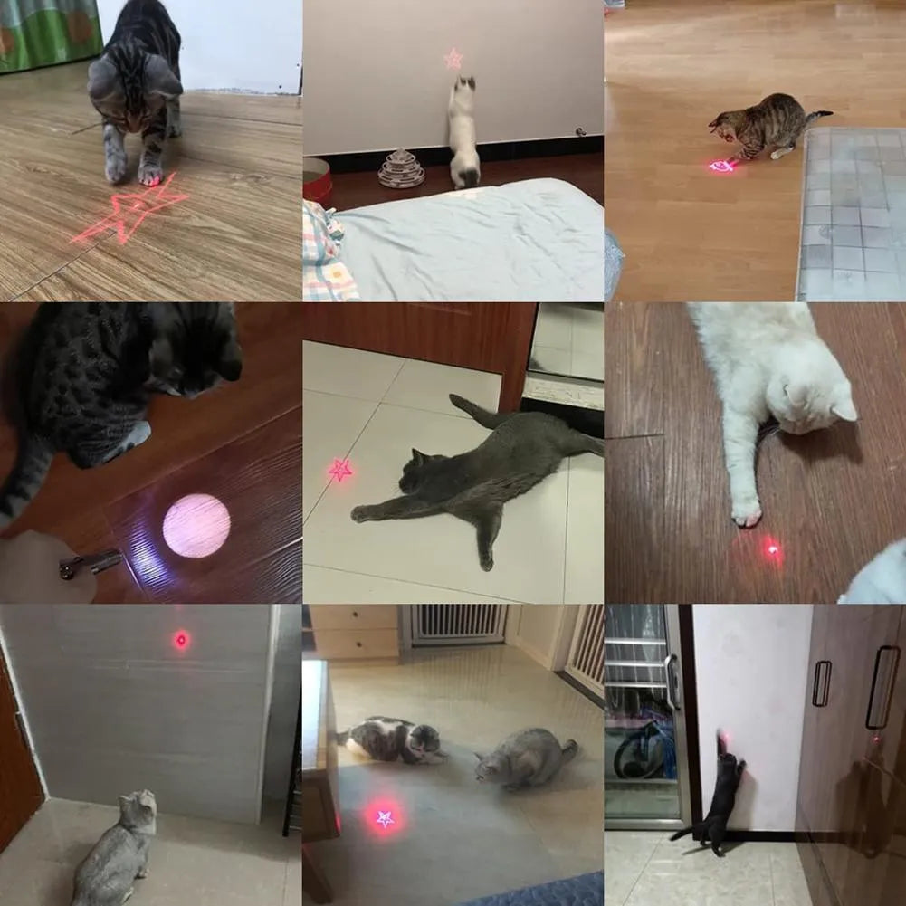 Pink and black USB rechargeable infrared cat teaser toy with key chain attachment