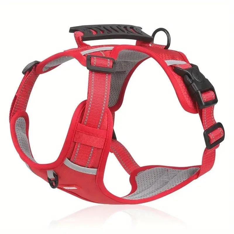 Adjustable polyester dog harness and lead set in multiple colours, shown on a dog, with front-chest attachment ring.
