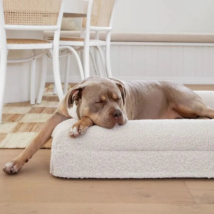 Rectangular pet sofa bed with thickened mattress and cloth cover, available in multiple sizes and colours for dogs