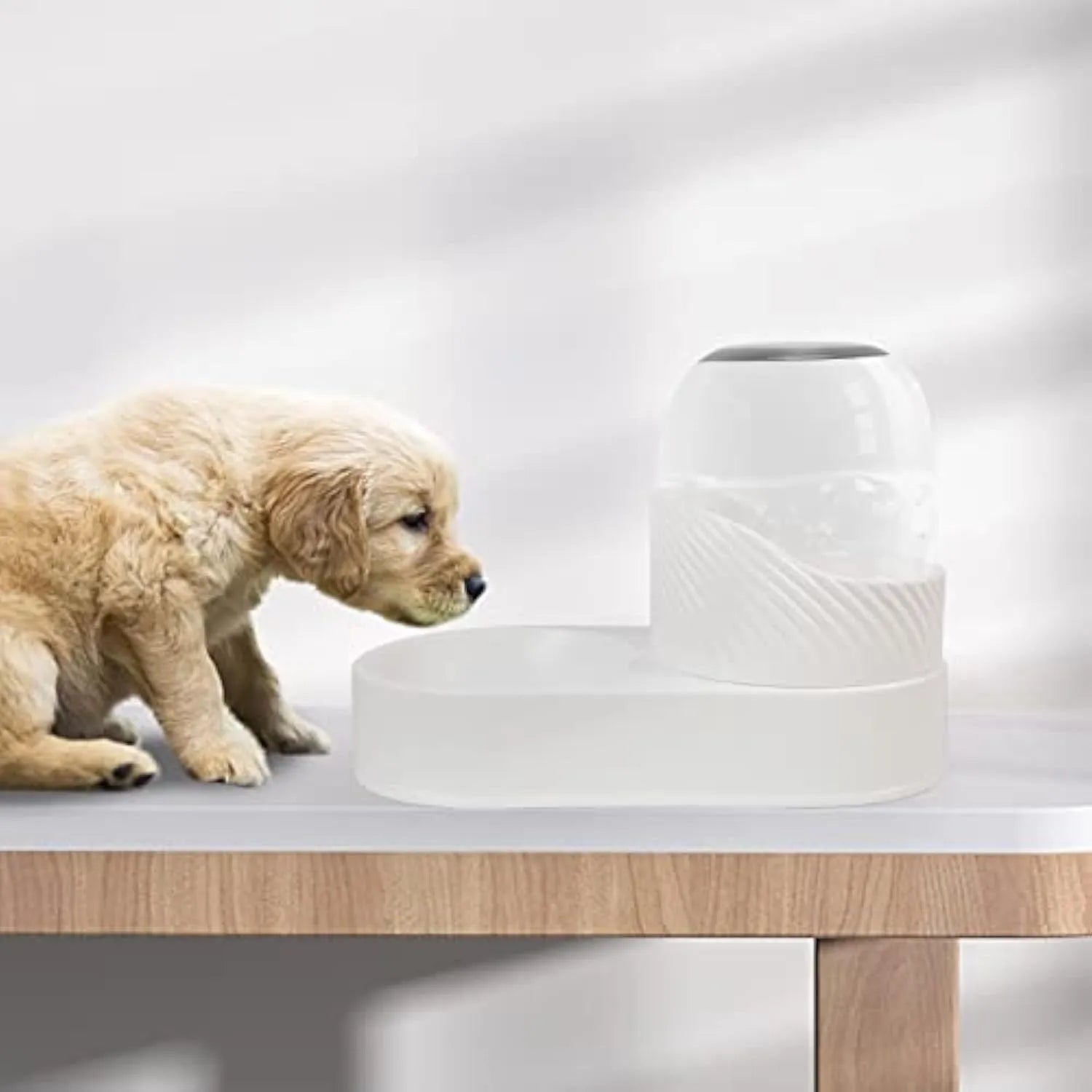 White automatic cat feeder and water dispenser set with wave-pattern design.