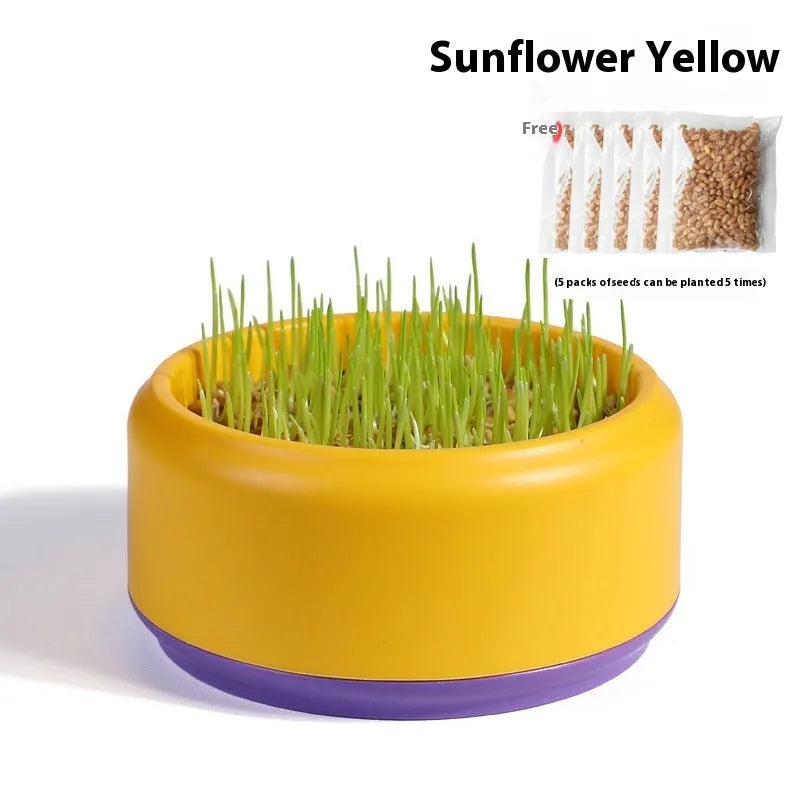 Hydroponic cat grass kit with cultivation cup and seed packs in blue, green, and yellow options