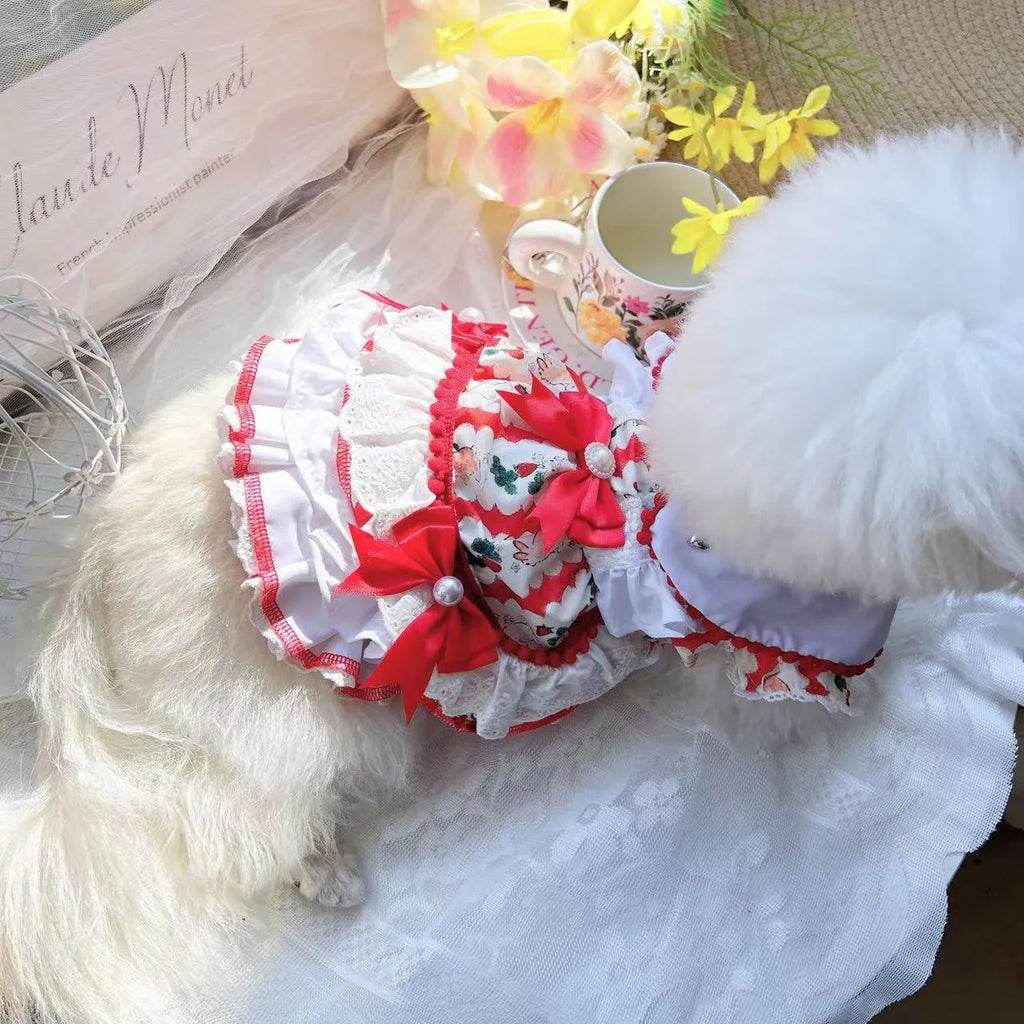 A small white dog wearing a blue and white rabbit print skirt, showcasing the princess-style pet clothing.