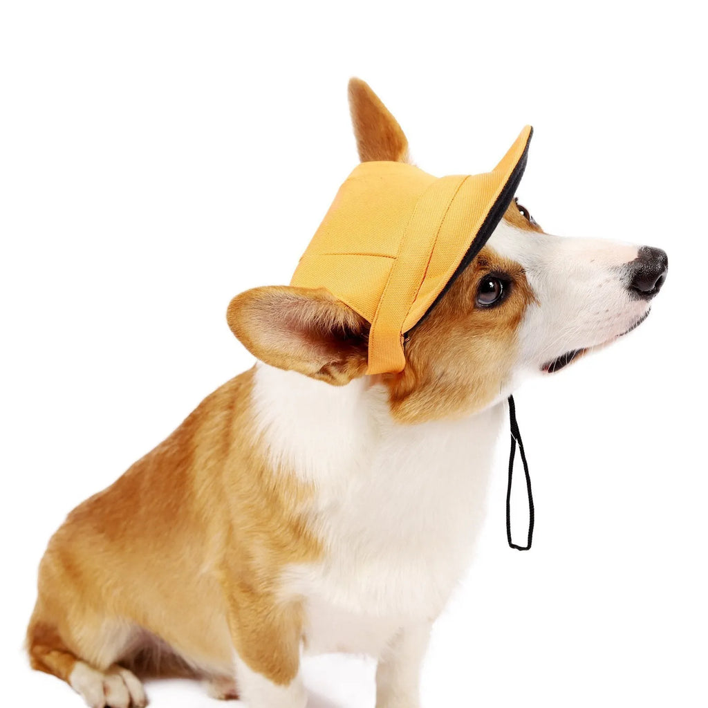 Oxford cotton dog sun hat in baseball cap style for small medium pets outdoor tourist use