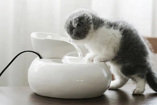 White porcelain leaf-shaped automatic cat water dispenser on floor