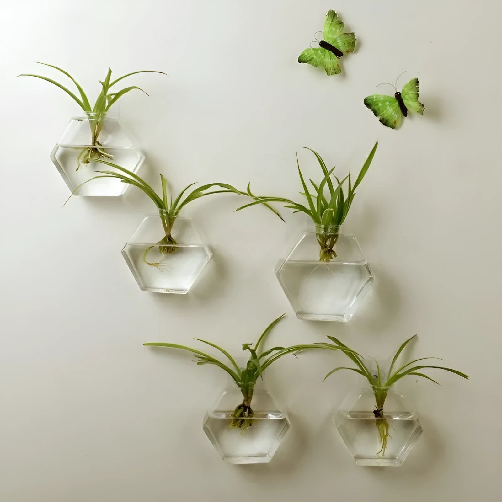 Wall-mounted high borosilicate glass fish tank with polished surface geometry shape