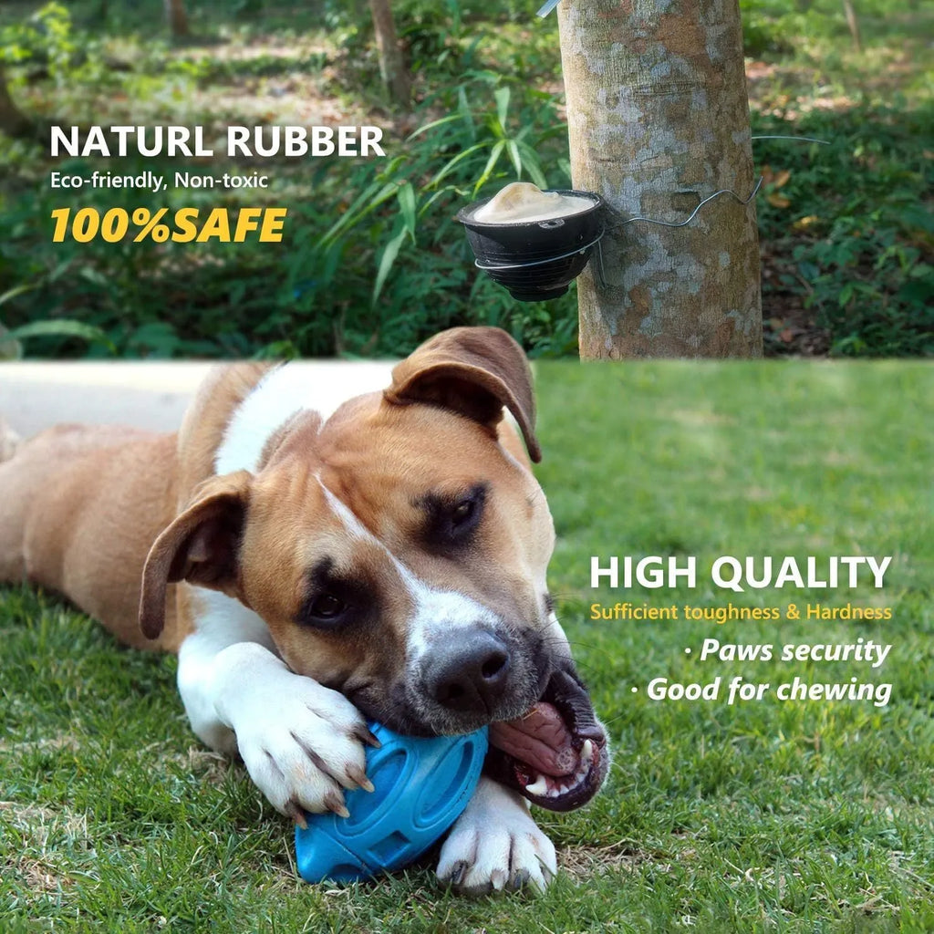 Blue natural rubber squeaky dog toy ball with surface grooves for medium and large breed aggressive chewers