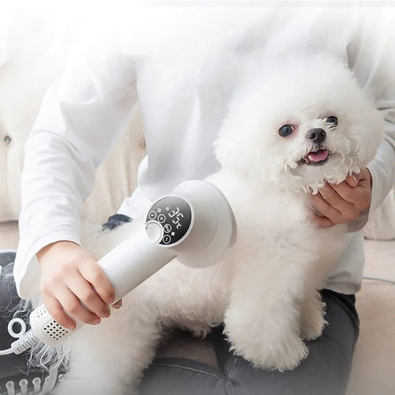 Smart pet hair dryer with blow and comb integrated 300W 40000 rpm in white on grey background with comb attachment visible