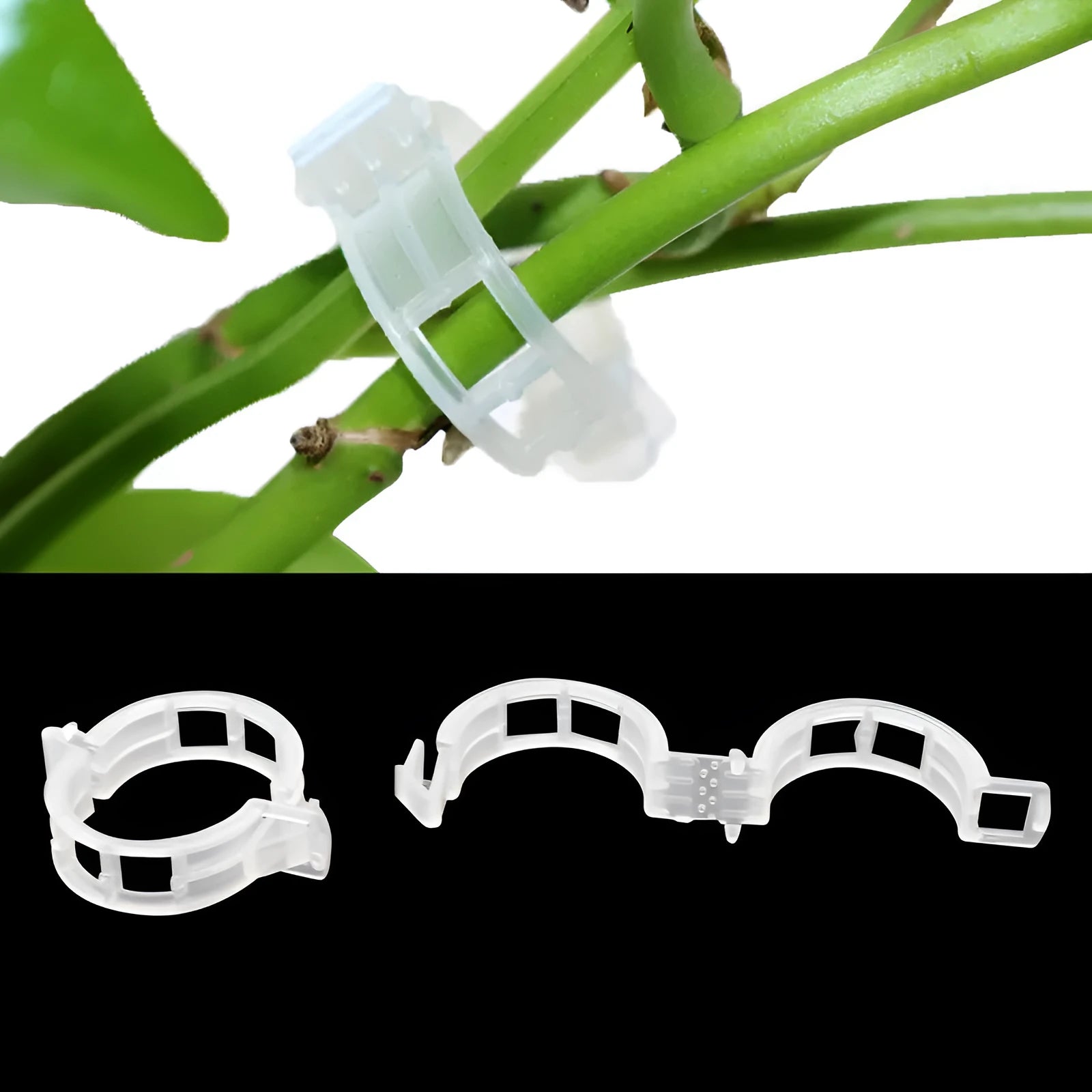50 plastic plant grafting clips for securing branches on tomato plants and garden shrubs