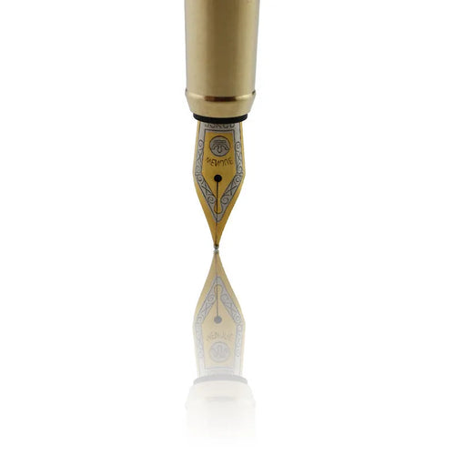 African rosewood vintage brass wood fountain pen with rotary piston and stainless steel nib on white background