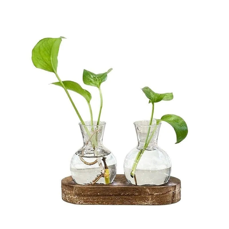Wooden frame transparent hydroponic vase set with PET plastic vases in modern design
