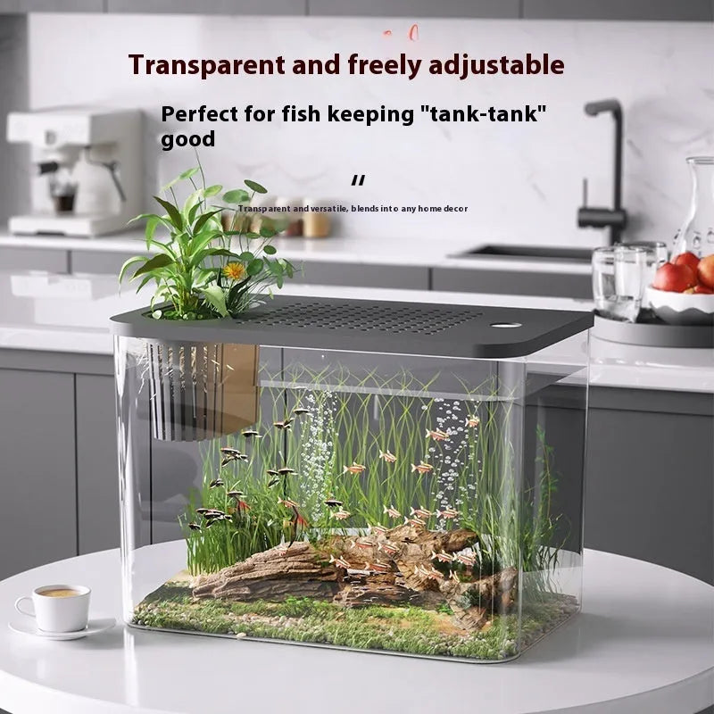 Black and white mini plastic betta fish tanks with clear covers, showing dimensions of 32cm by 18.5cm.