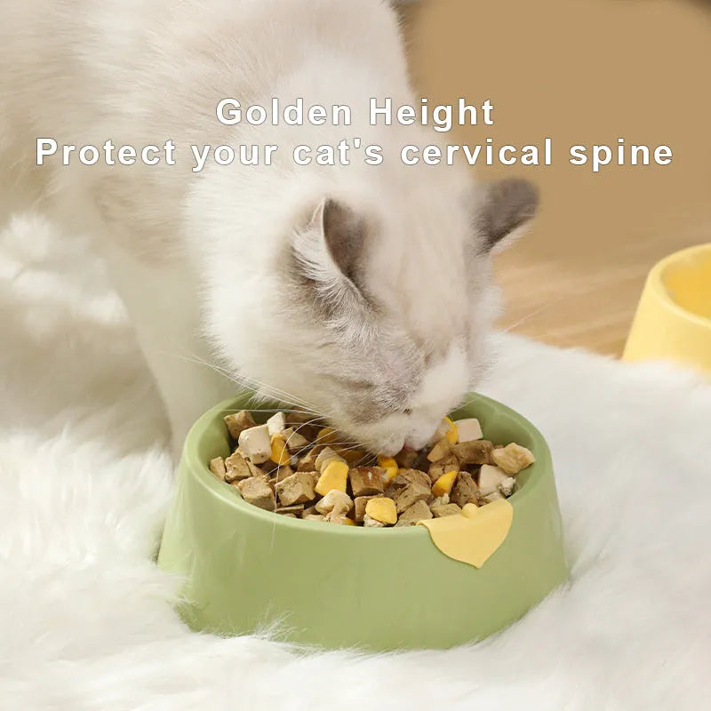 Green plastic double pet bowl for cats and small dogs on a floor.