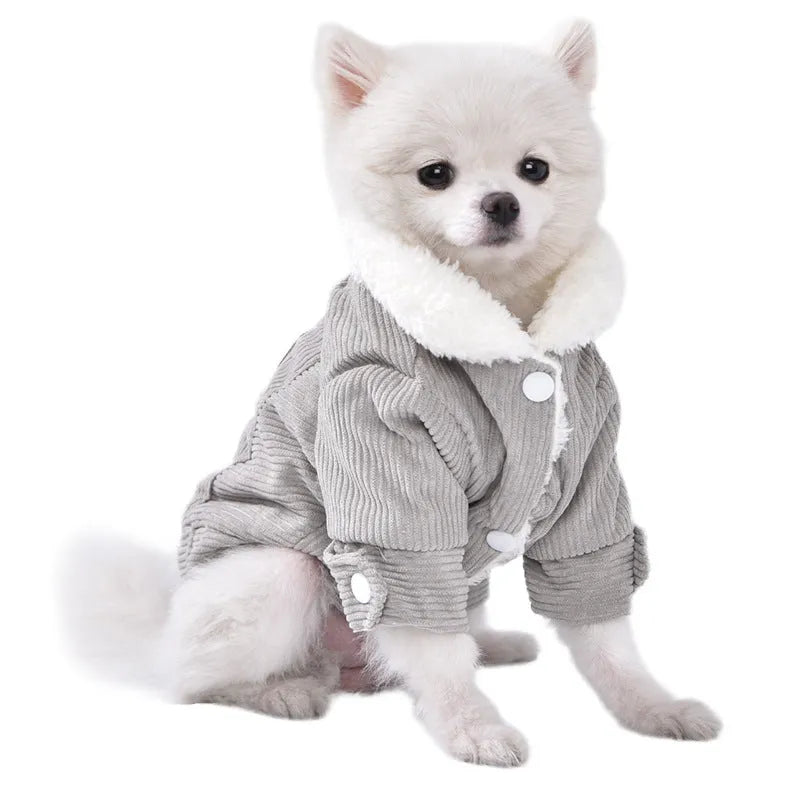 Lambswool grey dog vest with wool lining for autumn and winter wear.