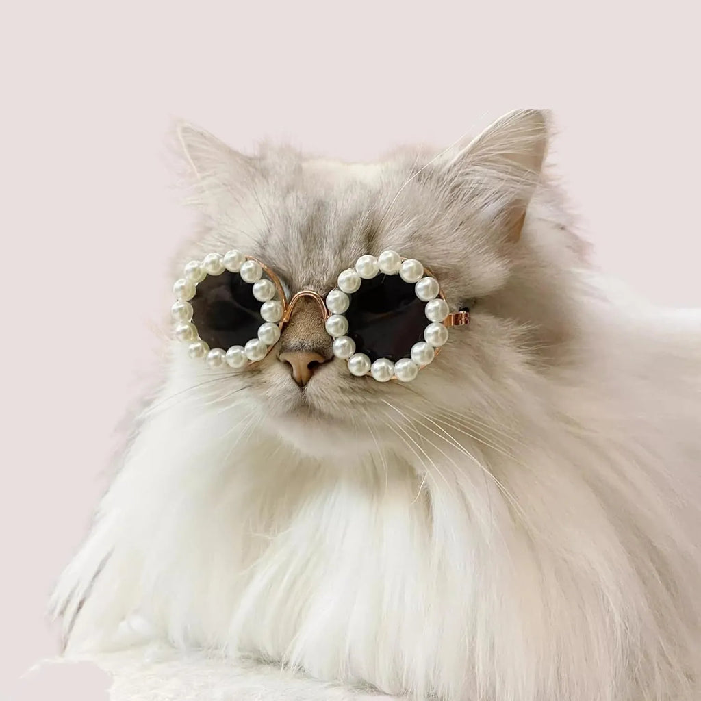 Round pearl-rimmed sunglasses for a cat or dog, shown in multiple colours including black, blue, and orange.