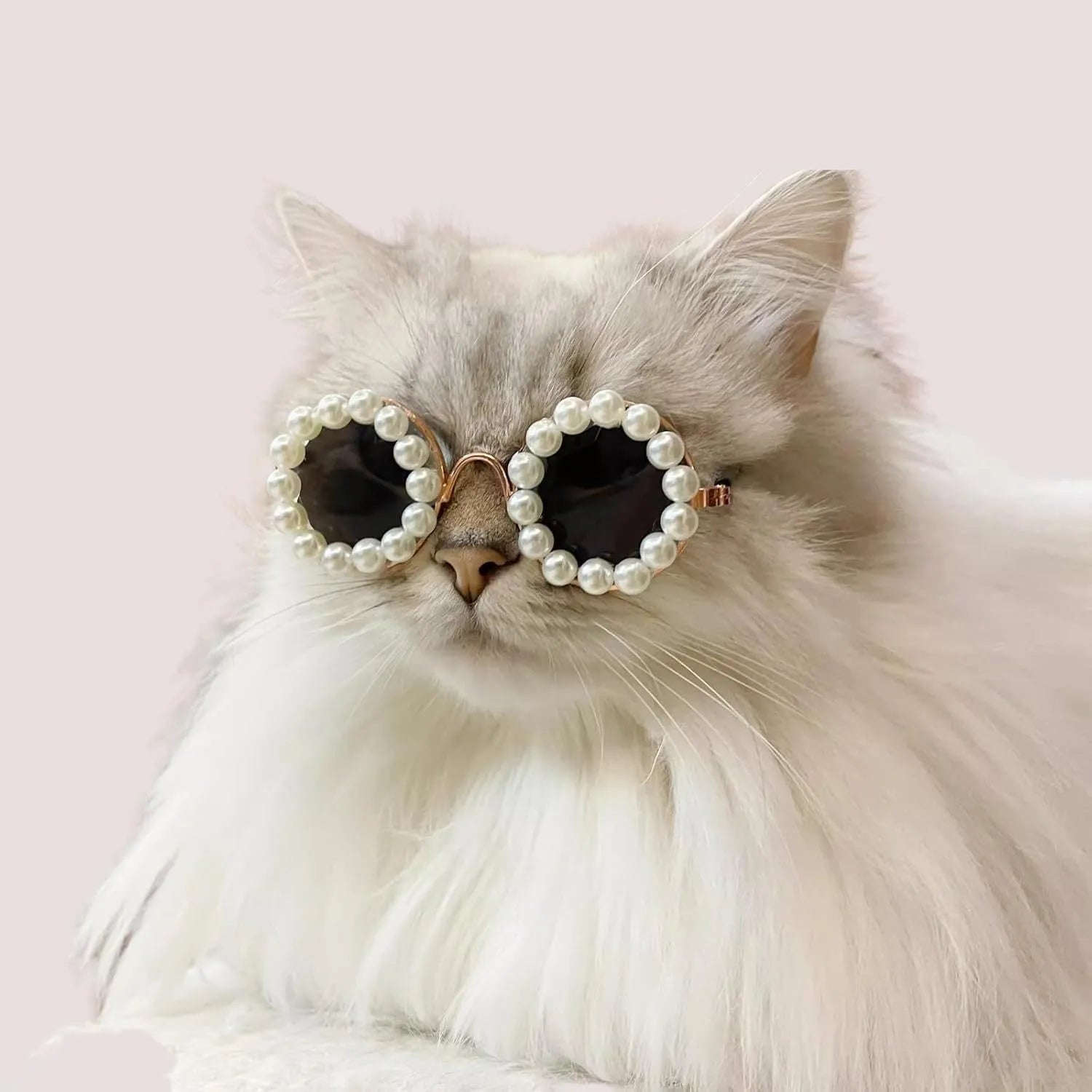Round pearl-rimmed sunglasses for a cat or dog, shown in multiple colours including black, blue, and orange.