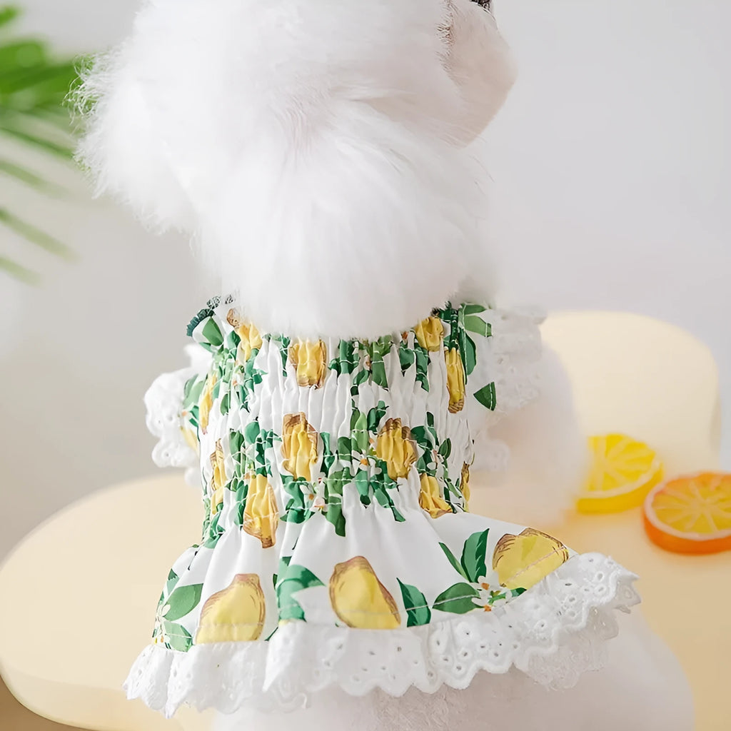 Rock yellow lemon polyester dog skirt with adjustable straps on small dog