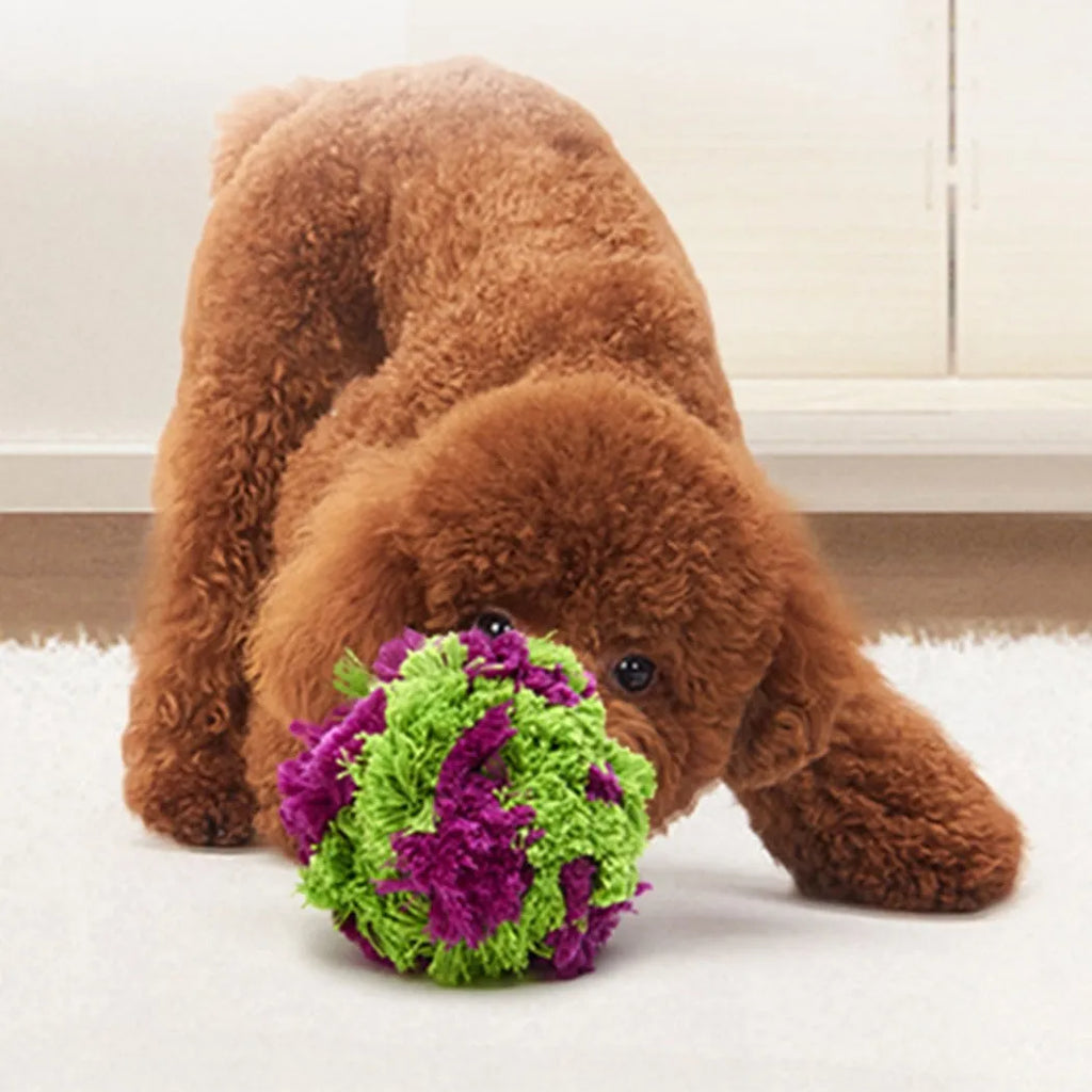 Purple plush sea ball dog chew toy approximately 15cm diameter for teething puppies