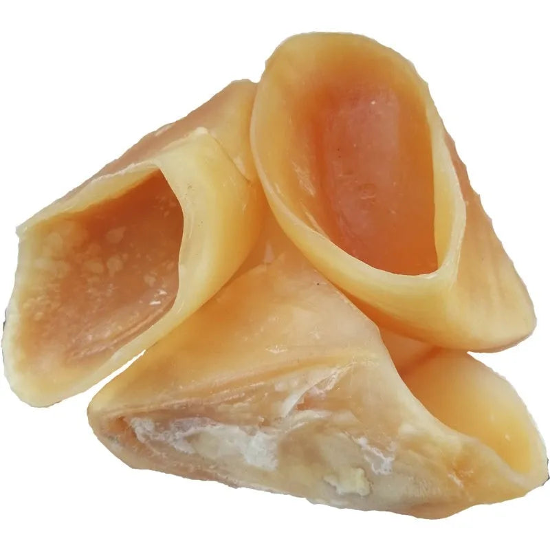 Natural cowhide hoof shell dog chew for small or large breeds on a white background.