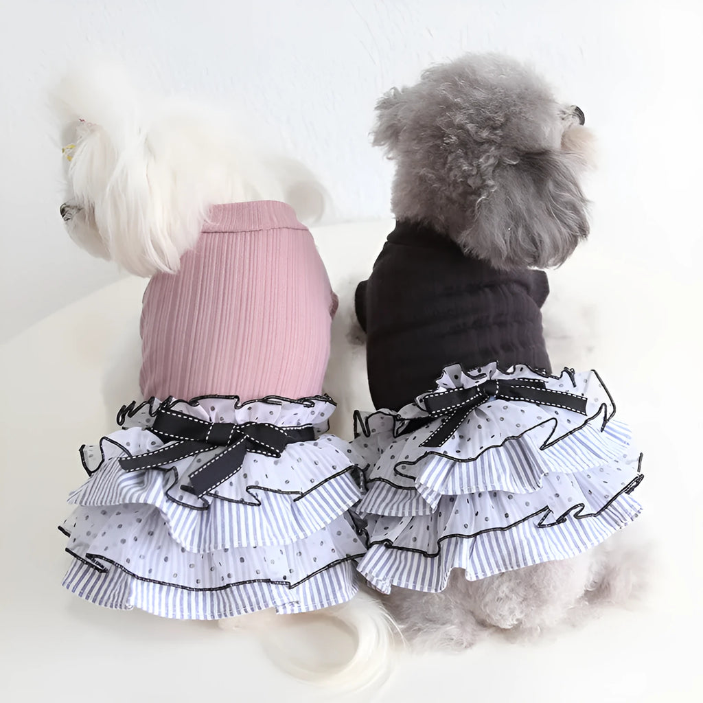 Polka dot lace cake dress pet clothes in taro purple, charcoal black or iced coffee, sizes XS to XL